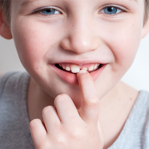کدام دندان کودک دائمی است